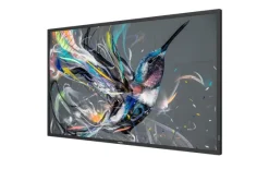 Philips 43BDL3510Q/00 43" Display