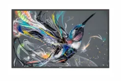 Philips 43BDL3511Q/00 43" Display