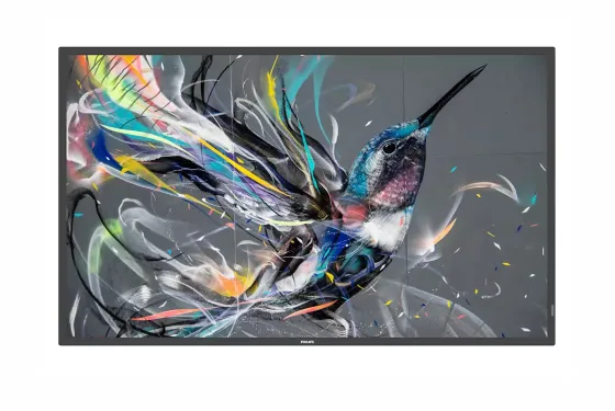 Philips 43BDL3650Q/00 43" Display