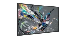 Philips 65BDL3511Q/02 Écran Ultra HD Q-Line 65 pouces avec lecteur multimédia intégré
