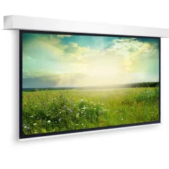 Projecta Descender Large Electrol, 16:9 , 400x 229 cm , blanc mat