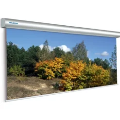 Projecta Ecran de projection motorisé Master Electrol 400x 400cm, 1:1, Blanc Mat