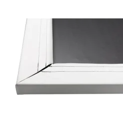 Projecta Ecran de projection sur Cadre FullVision 550x 344cm , 16:10 blanc mat