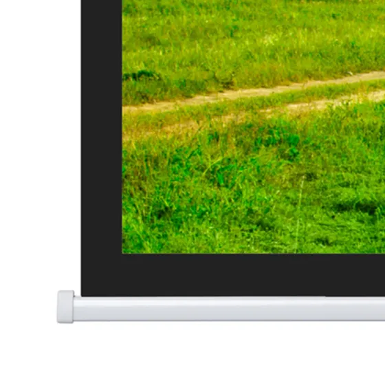 Projecta Ecran de projection motorisé Elpro Concept 280x 162 16:9 , blanc mat