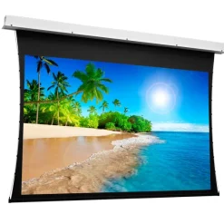 Projecta Ecran de projection encastrable Tensioned DescenderPro Electrol, 300x 191cm, 16:10 blanc mat