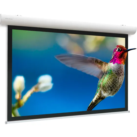 Projecta Ecran de projection motorisé Elpro Concept 300x173 16:9, blanc mat