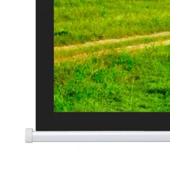 Projecta Ecran de projection motorisé Elpro Concept 240x 239 16:9 , blanc mat
