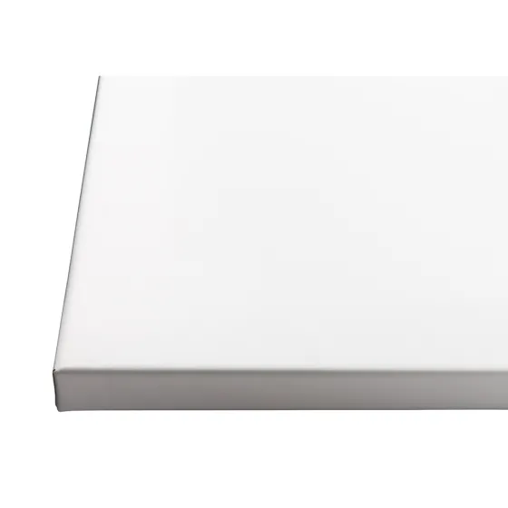 Projecta Ecran sur cadre FullVision 220x 124 cm, 16:9, blanc mat