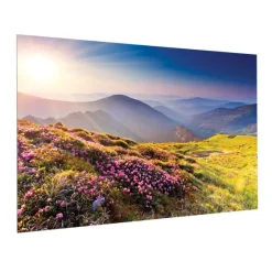 Projecta Ecran Sur Cadre Full Vision, 350x 219 cm, 16:10, blanc mat