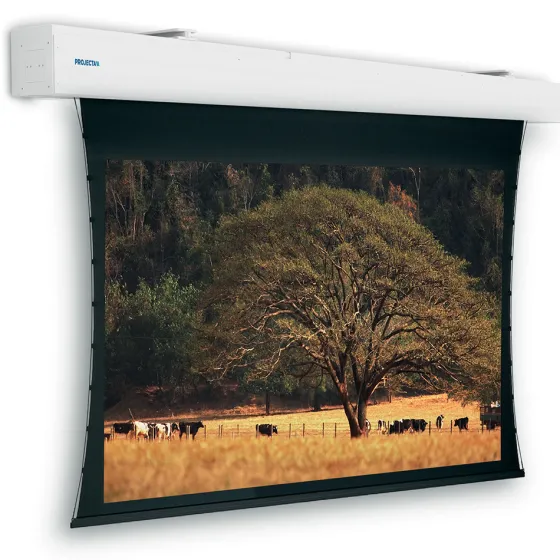 Projecta Tensioned Elpro Large Electrol, 450 x 258 cm blanc mat