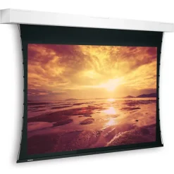 Projecta Tensionned Descender Large Electrol, 16:10, 450x 285 cm, blanc mat