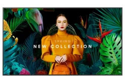 Samsung QH65C 65" Display