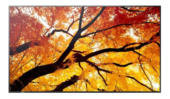Sharp Écran LCD MultiSync E244F 24 pouces pour les applications bureautiques et industrielles