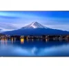 Sharp Écran professionnel grand format LCD MultiSync P436 de 43 pouces