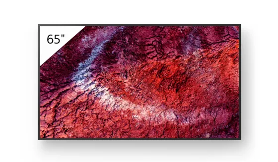 Sony FW-65BZ40P Écran professionnel de 65 pouces avec revêtement Deep Black Non-Glare Premium unique et protection contre la poussière IP5X.