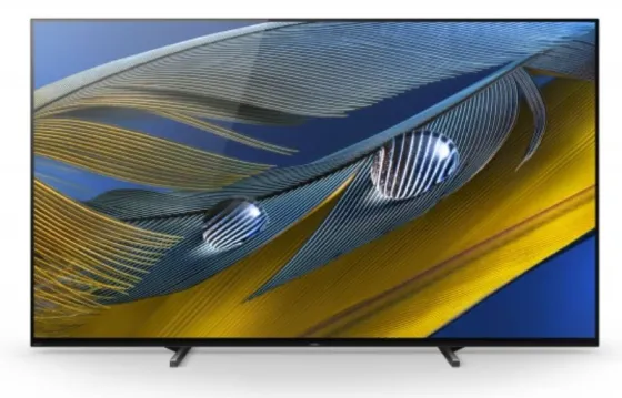 Sony FWD-55A80J 55" Display
