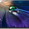 Sony FWD-55A90J 55" Display