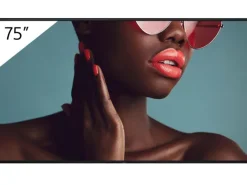 Sony Pro BRAVIA FW-75BZ40L - Display 75"