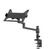 Support de bureau Neomounts DS20-425BL1 pour ordinateur portable de 11,6"-17,3"- noir (inclinable, rotatif et pivotant)