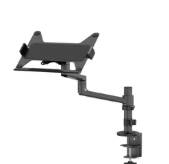 Support de bureau Neomounts DS20-425BL1 pour ordinateur portable de 11,6"-17,3"- noir (inclinable, rotatif et pivotant)