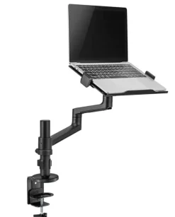 Support de bureau Neomounts DS20-425BL1 pour ordinateur portable de 11,6"-17,3"- noir (inclinable, rotatif et pivotant)