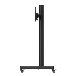 Support mobile Dual Hagor CPS pour 2 écrans - 43