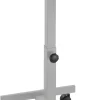 Table mobile de présentation celexon PT1010G pour vidéoprojecteur, à 1 plateau - Gris