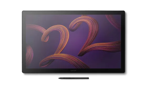 Wacom Cintiq Pro 22 Tablette graphique 4K avec Pro Pen 3 (sans socle)